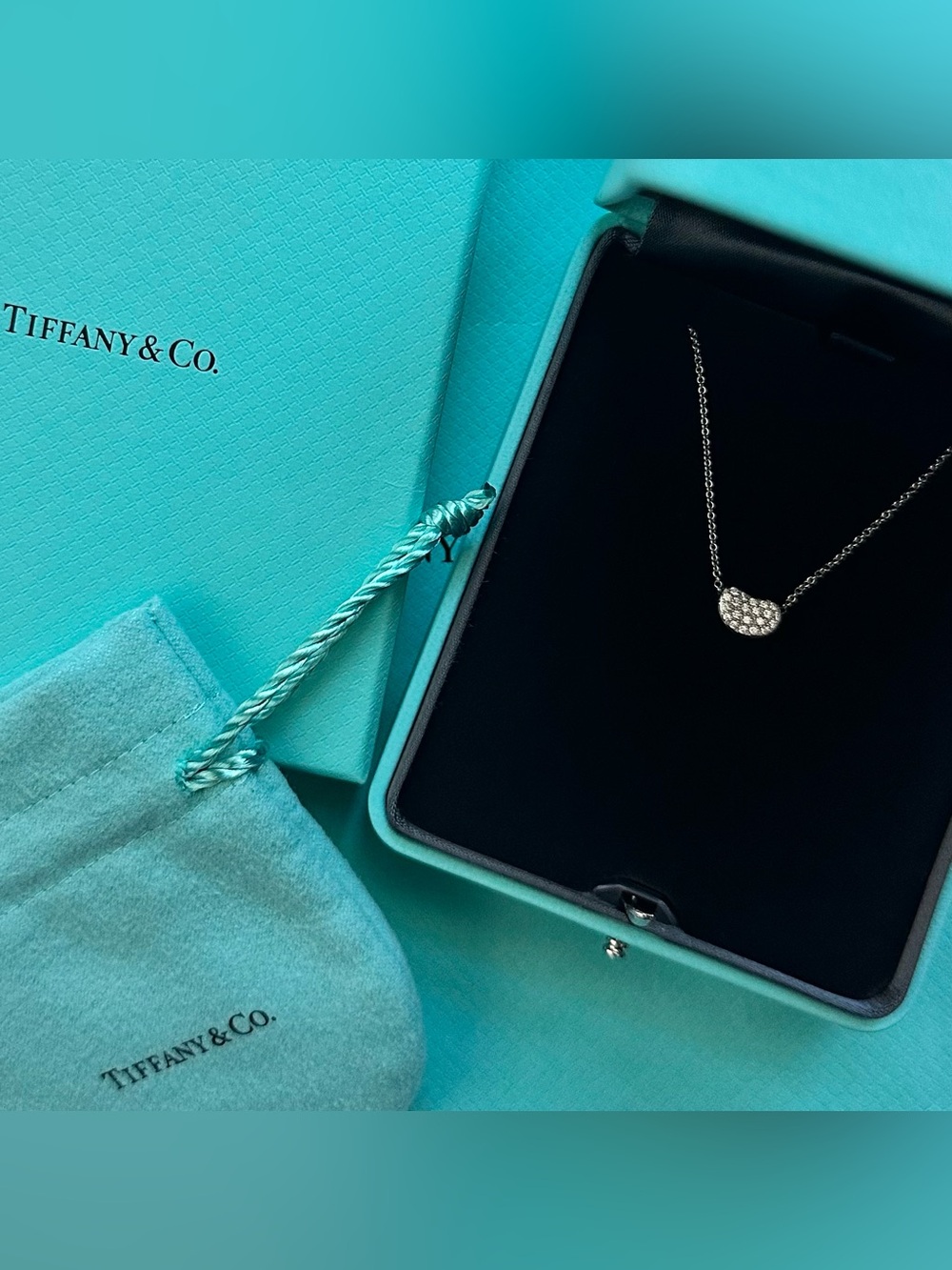 $5,300 Tiffany & Co. Elsa Peretti Bean Design Pendant Necklace Platinum Diamonds